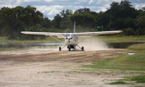 landing-serengeti.jpg