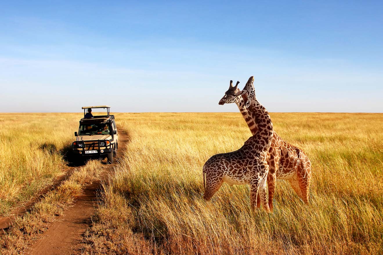 Tanzania-safaris.jpg