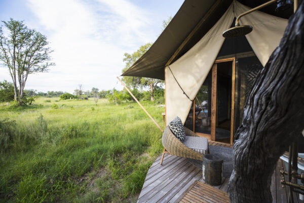 4-Day Luxury Tanzania Safari: Lake Manyara, Serengeti and Ngorongoro Crater