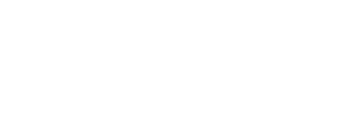 Sakey Safaris